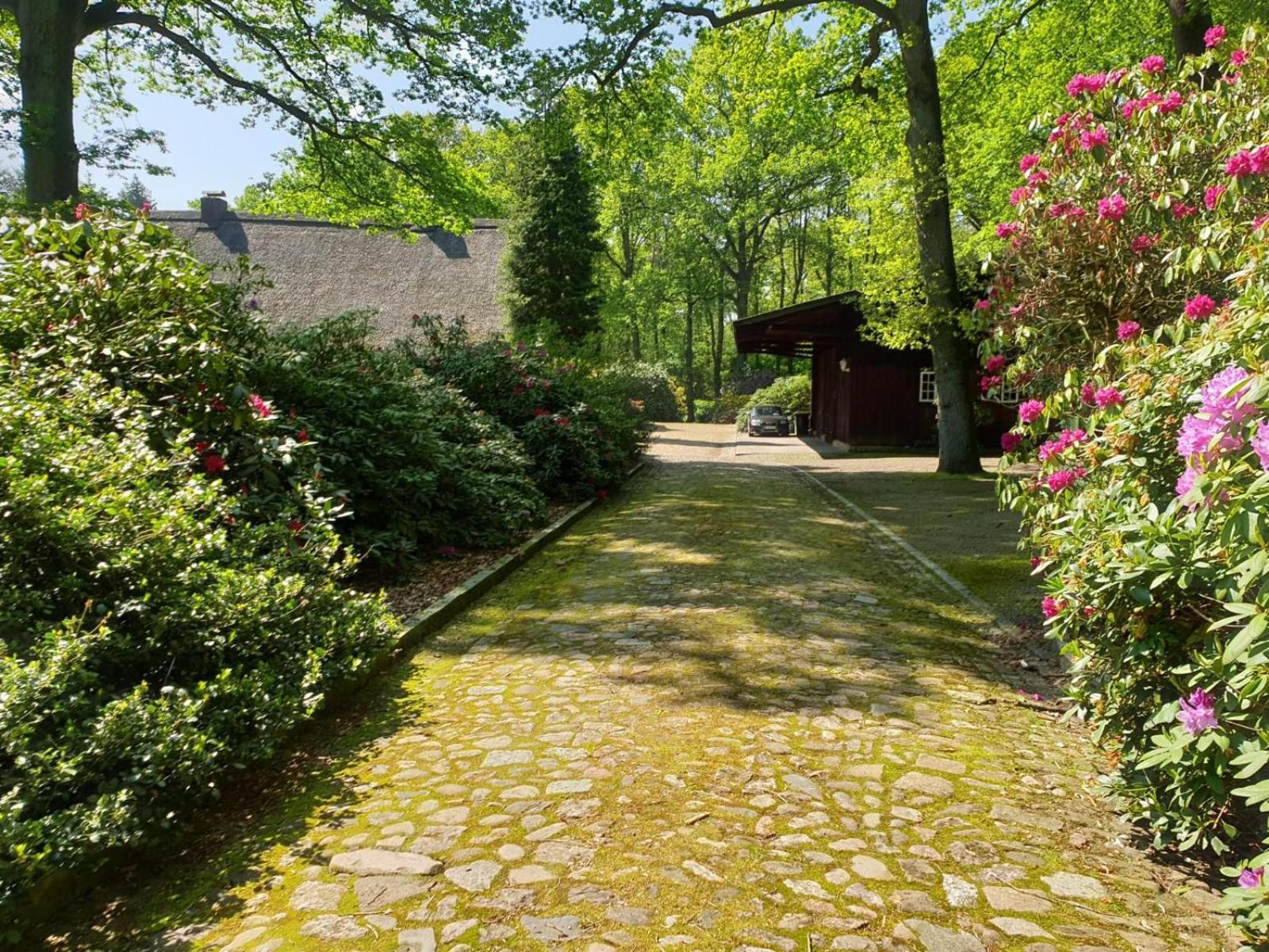 Hof Lindemann Villa Schneverdingen Eksteriør billede