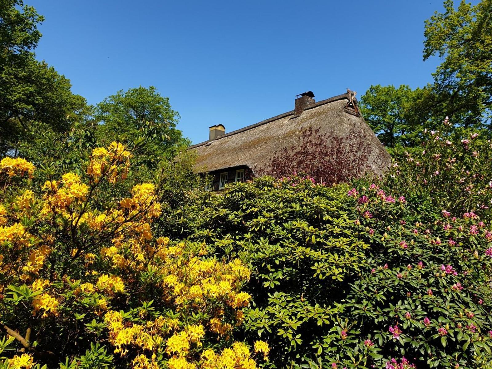 Hof Lindemann Villa Schneverdingen Eksteriør billede